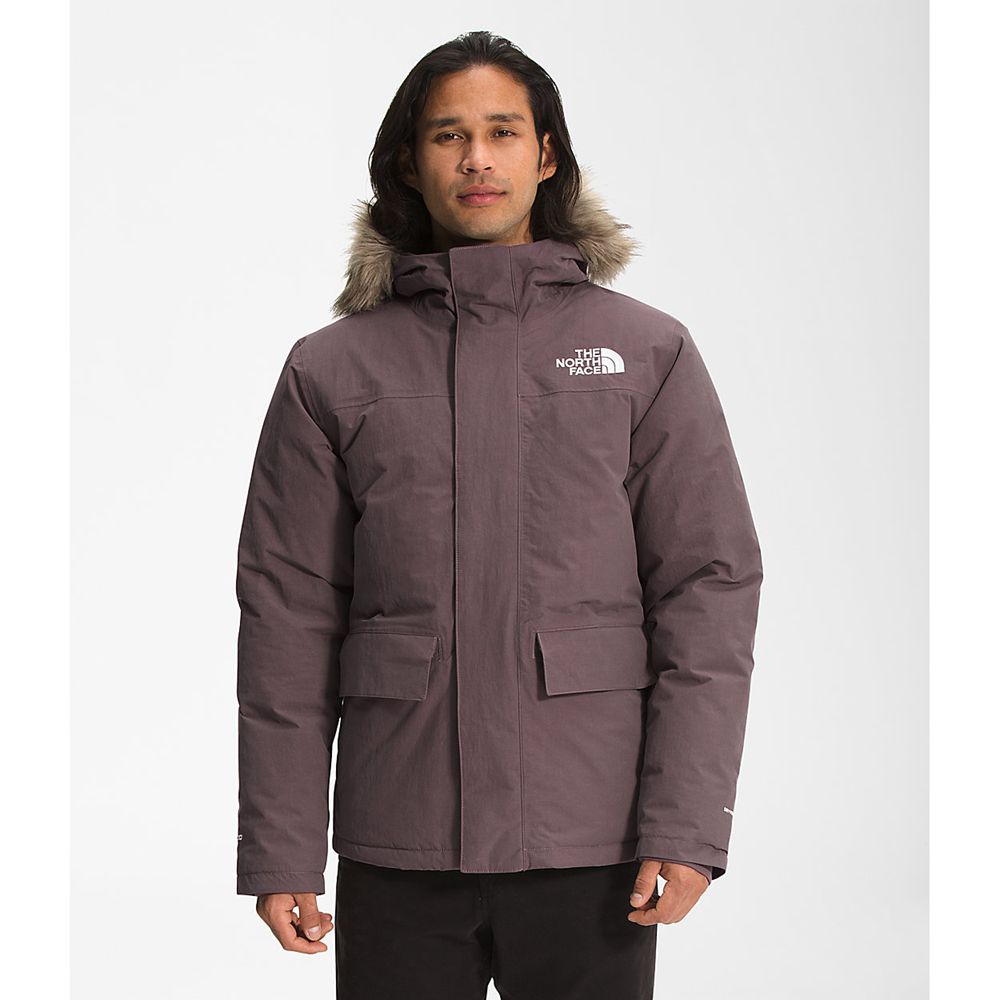 The North Face Parka Mens Australia - The North Face Arctic Purple (RPJ-921843)